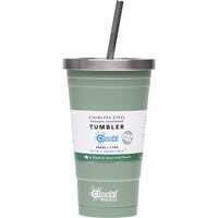 Insulated Stainless Steel Tumbler (+Straw) - Pistachio 500ml