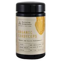Organic Cordyceps Extract 100g