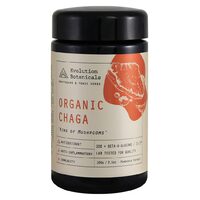Organic Chaga Extract 100g