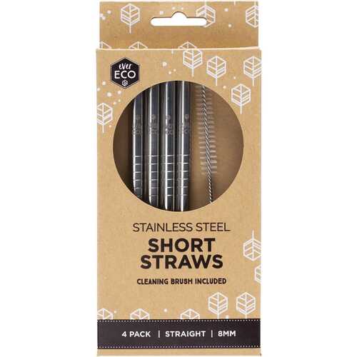 Short Stainless Steel Straws (+Brush) x4