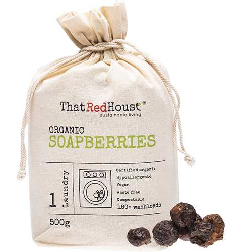Organic Soapberries 500g