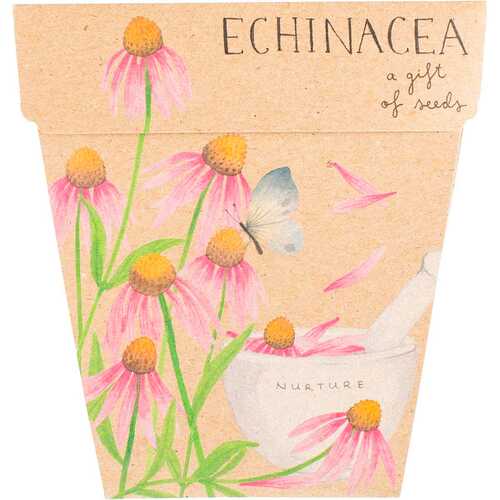 A Gift of Seeds - Echinacea