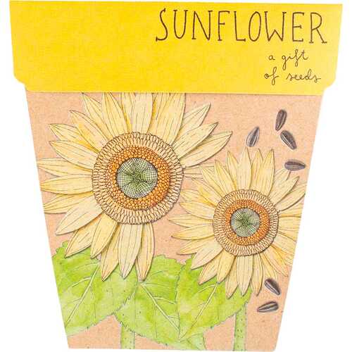 A Gift of Seeds - Sunflower