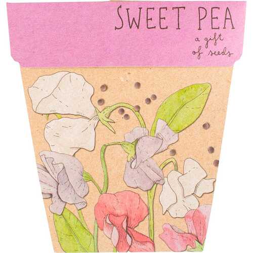 A Gift of Seeds - Sweet Pea