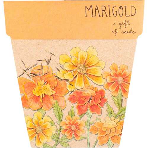 A Gift of Seeds - Marigolds