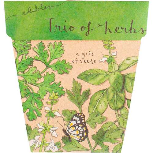 A Gift of Seeds - Trio of Herbs
