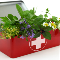 Herbal Medicine & Remedies