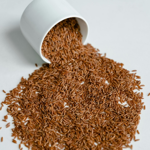 Sprouted Rice Protein